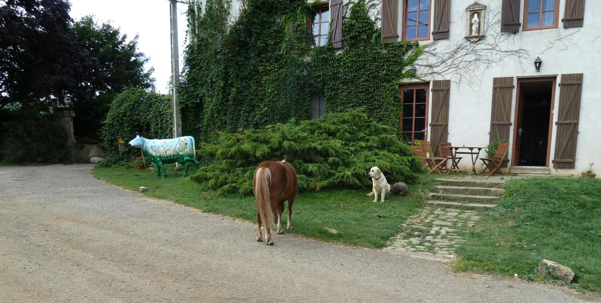 Ferme Du Montheu Bed & Breakfast Dommartin sous Amance Dış mekan fotoğraf